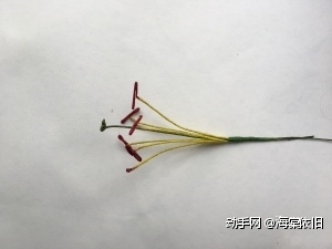 把六根雄蕊和一根雌蕊组合在一起，雌蕊比雄蕊高约1cm。