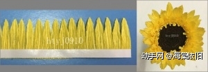    把黄色的伸缩纸剪成宽约30mm长纸条，在一边贴上宽约5mm的双面胶，将另一边剪出如图所示宽约3mm的花瓣，将剪好的长纸条贴在花盘上至花盘直径约33mm。