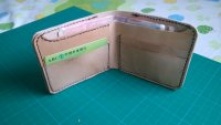 第二个皮作品