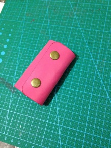 菜鸟的作品..
