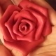 皮革玫瑰花